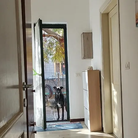 La Casa Dei Pioppi * Ficarolo