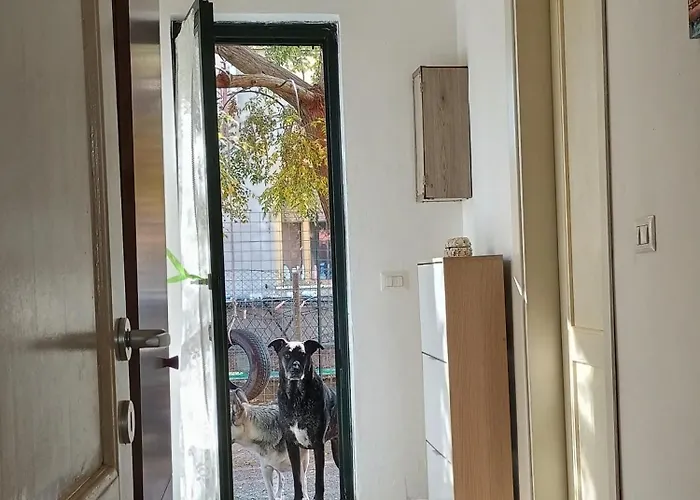 La Casa Dei Pioppi * Ficarolo